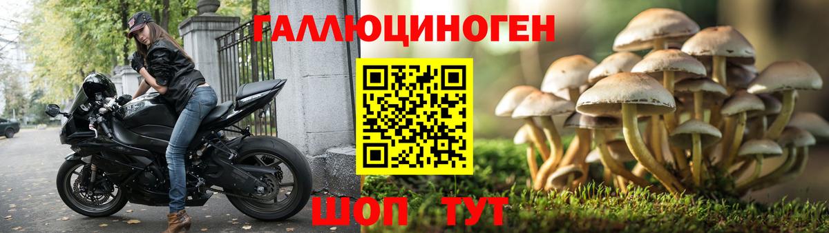 Галлюциногенные грибы мицелий  Вход с VPN  Менделеевск 
