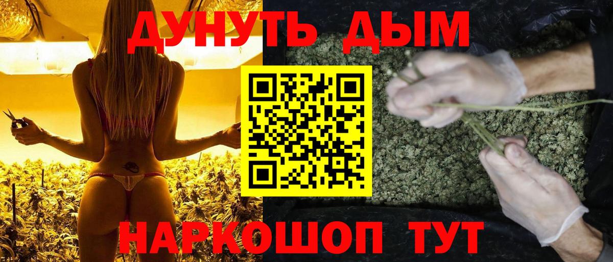 Бошки Шишки план Менделеевск